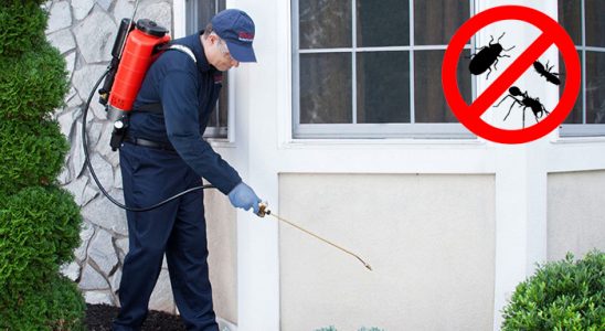Gemlik Karınca İlaçlama böcek ilaçlama ve haşere kontrolü — ilaclama-tr.com
